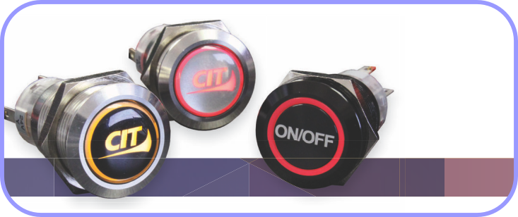 CIT Anti-Vandal Push-Button Switches
