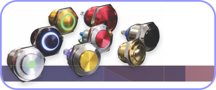 CIT Anti-Vandal Push-Button Switches