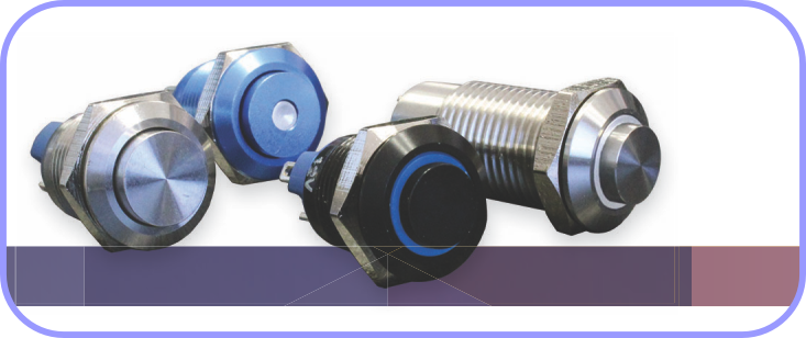 CIT Anti-Vandal Push-Button Switches