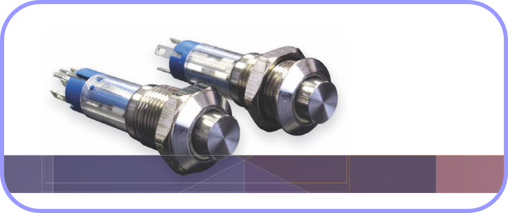 CIT Anti-Vandal Push-Button Switches
